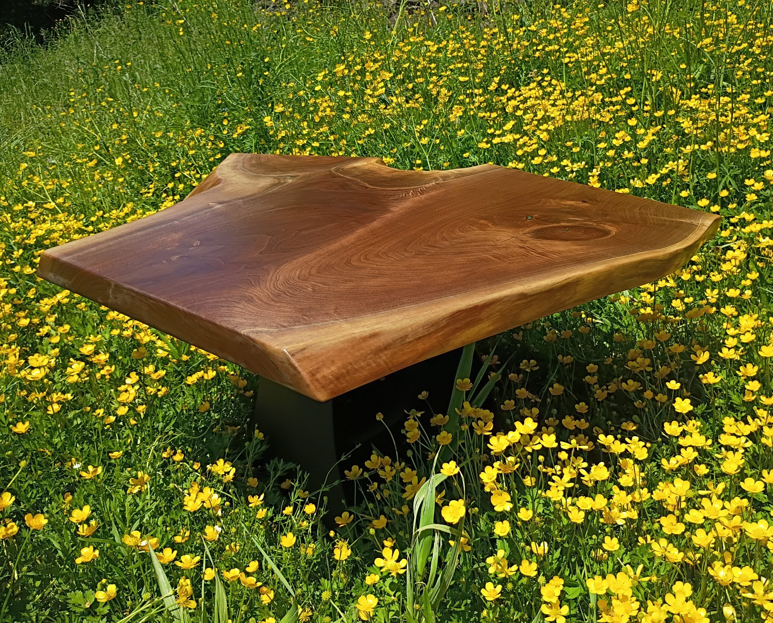 Walnut Coffee Table